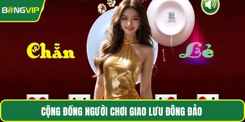 Cộng đồng người chơi giao lưu đông đảo