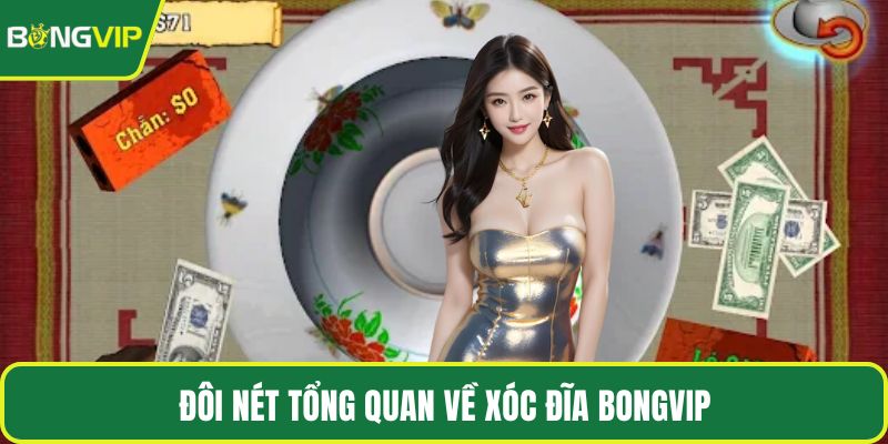 Đôi nét tổng quan về xóc đĩa BONGVIP