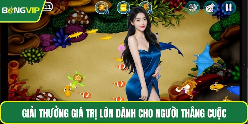 Giải thưởng giá trị lớn dành cho người thắng cuộc