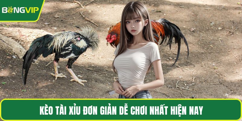 Kèo tài xỉu đơn giản dễ chơi nhất hiện nay