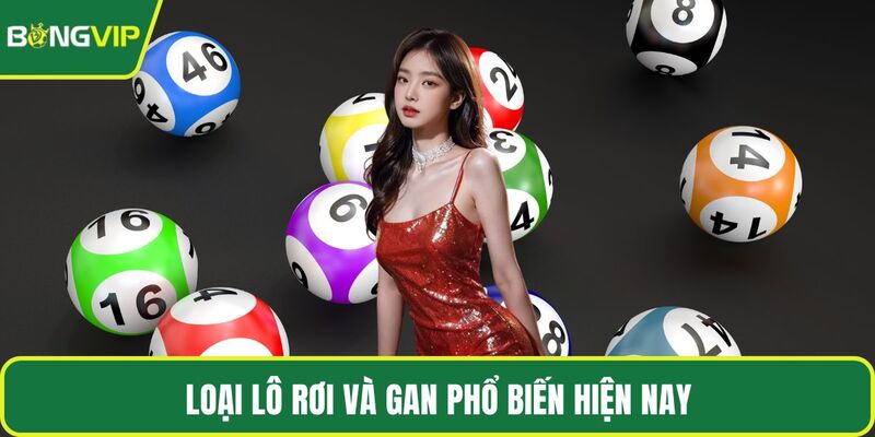 Loại lô rơi và gan phổ biến hiện nay