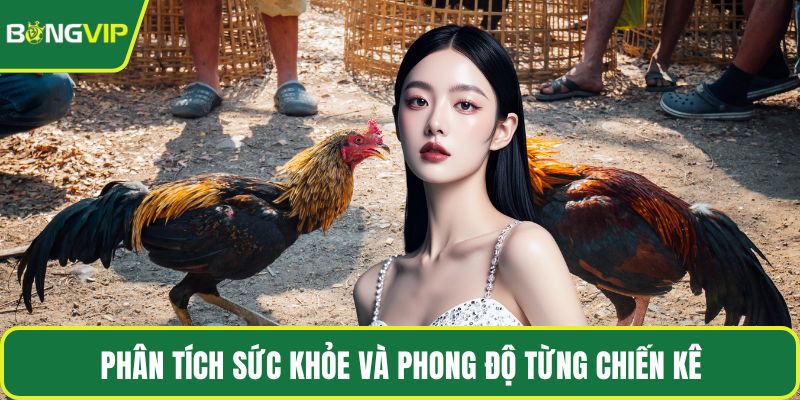 Phân tích sức khỏe và phong độ từng chiến kê