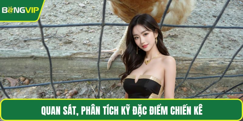 Quan sát, phân tích kỹ đặc điểm chiến kê