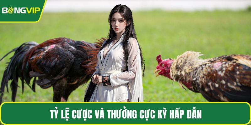 Tỷ lệ cược và thưởng cực kỳ hấp dẫn